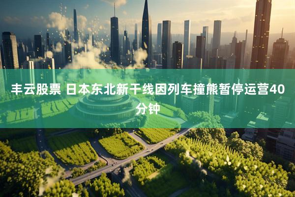 丰云股票 日本东北新干线因列车撞熊暂停运营40分钟