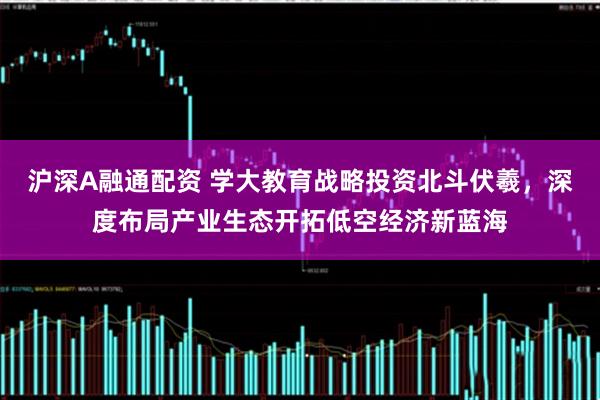 沪深A融通配资 学大教育战略投资北斗伏羲，深度布局产业生态开拓低空经济新蓝海