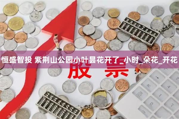 恒盛智投 紫荆山公园小叶昙花开了_小时_朵花_开花